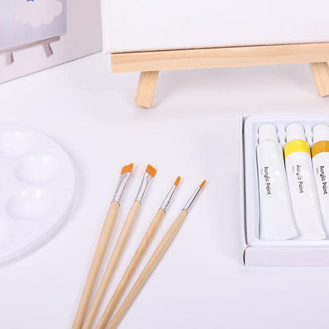 Juego de iniciación de pintura acrílica profesional